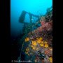 Pertamina Wreck, Ambon Channel