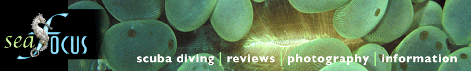 SeaFocus - scuba diving reviews, images and information