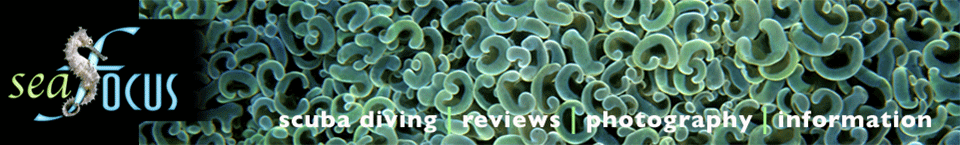 SeaFocus - scuba diving reviews, images and information