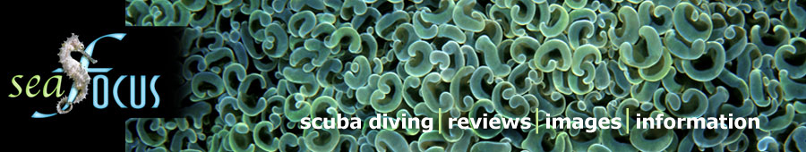 SeaFocus - scuba diving reviews, images and information