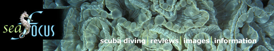 SeaFocus - scuba diving reviews, images and information