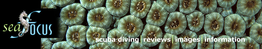 SeaFocus - scuba diving reviews, images and information