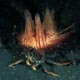 sea urchin crab