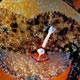 Cowrie shell - Erosaria labrolineata